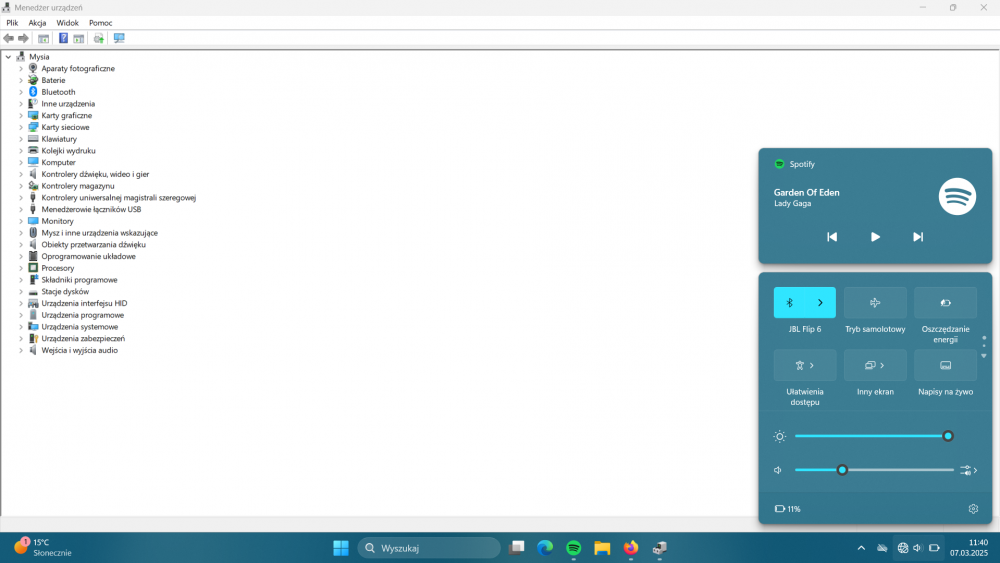 Zrzut ekranu 2025-03-07 114056.png