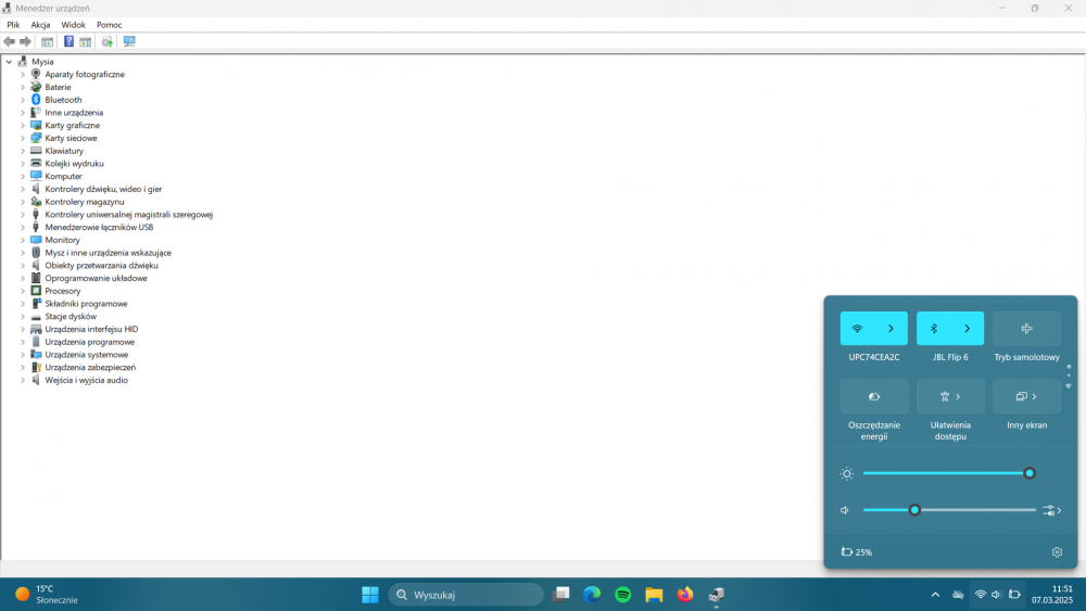 Zrzut ekranu 2025-03-07 115136.png